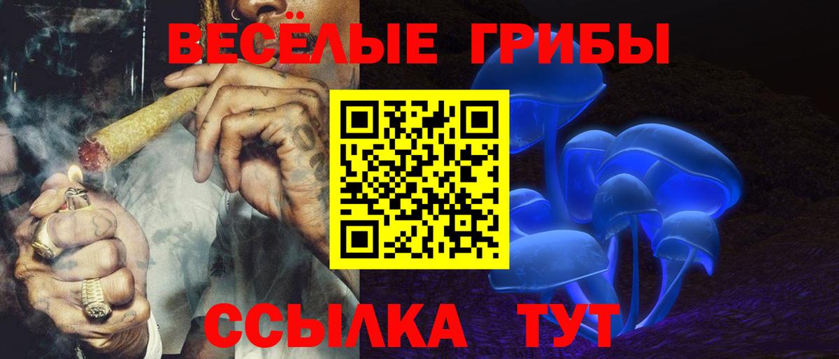 Губкин  Галлюциногенные грибы GOLDEN TEACHER  Вход с VPN 